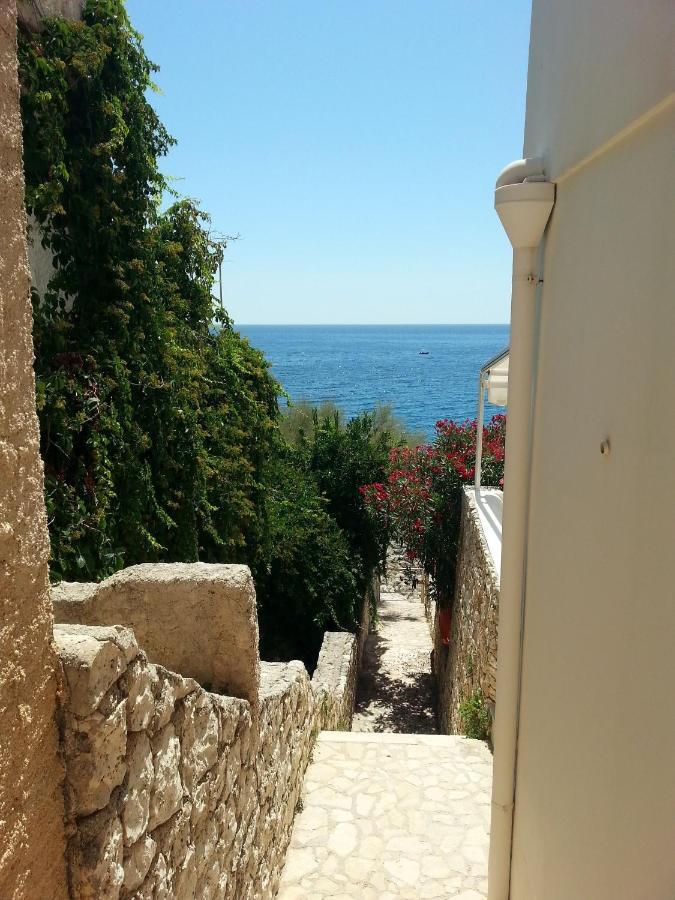 Villa Perla sul mare Adriatico Marittima Esterno foto